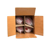 Fresh Dragon Fruit